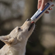 Virbac Nutri Plus Gel for Dogs and Cats