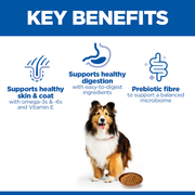 Hill's Science Plan Adult Sensitive Stomach & Skin Chicken Wet Dog Food 12 x 370g