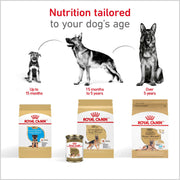 ROYAL CANIN® German Shepherd Adult Dry Dog Food