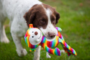Rosewood Chubleez Sonny Monkey Dog Toy