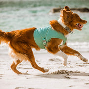 Hurtta Dog Cooling Wrap Aquamarine