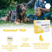 MP Labo Palmidol PEA Sprinkle Capsules