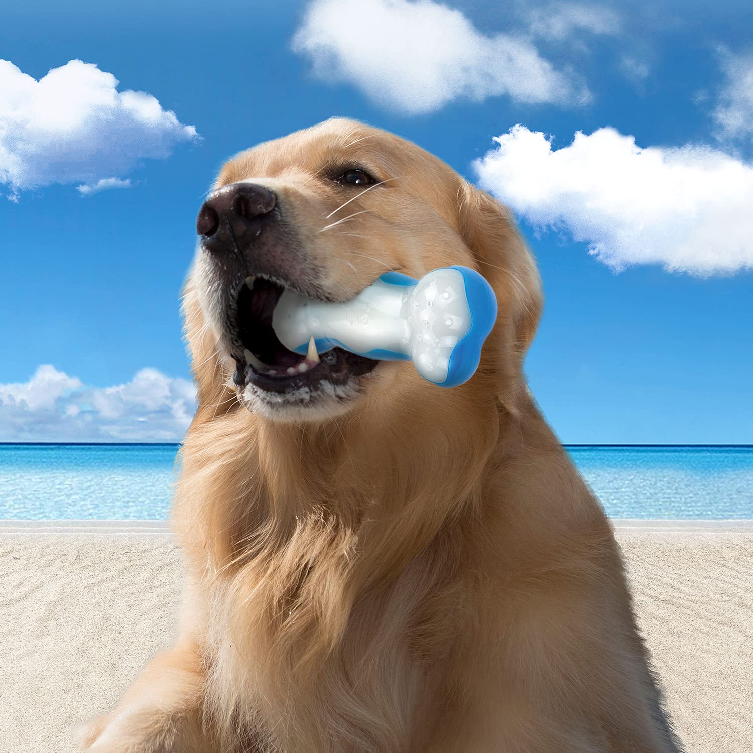 All For Paws Chill Out Ice Bone