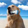 All For Paws Chill Out Ice Bone
