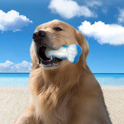 All For Paws Chill Out Ice Bone