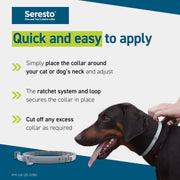 Seresto Flea Collar For Dogs Over 8kg