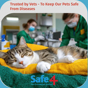 Safe4 Solutions Disinfectant Concentrate 5L