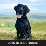 Skinner's Field & Trial Light & Senior Dry Dog Food
