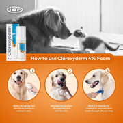Nextmune Clorexyderm 4% Foam