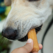 Himalayan Pet Supply Churro Stix Cheese Dog Chew