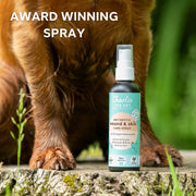 Charlie The Vet Antiseptic Wound & Skin Care Spray 100ml