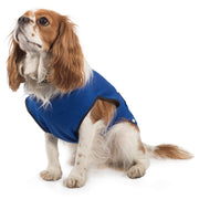 Ancol Cooling Coat