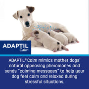 ADAPTIL® Dog Calming Pheromone Collar