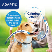 ADAPTIL® Dog Calming Pheromone Collar