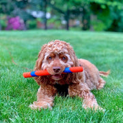 Chuckit! Ultra Fetch Stick