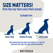 Rosewood Battersea Tennis Balls Dog Toy 3 Pack
