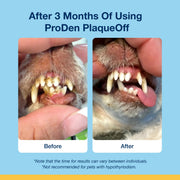 ProDen PlaqueOff® Dental Bites for Cats Salmon 1 x 60g