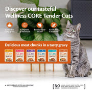 Wellness Core Tender Cuts Turkey Selection Wet Cat Food