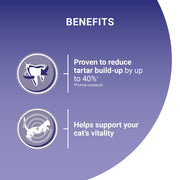 PURINA® ONE Chicken Dry Cat Food