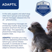 ADAPTIL® Dog Calming Pheromone Collar