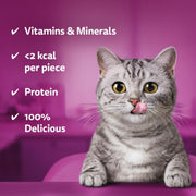 Whiskas Temptations Salmon Flavour