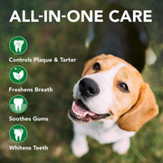 Vet's Best Triple Headed Toothbrush | 360° All-Angle Dental Cleaner for Dogs