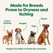 Earth Rated Short Hair Dog Shampoo