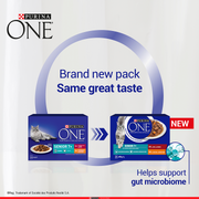 PURINA® ONE Senior 7+ Mini Fillets Chicken and Beef Wet Cat Food