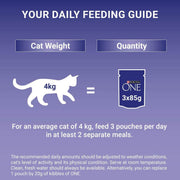 PURINA® ONE Senior 7+ Mini Fillets Salmon and Ocean Fish Wet Cat Food