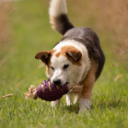 Petface Planet Nobbly Rubber Rugby Ball With Rope Toy