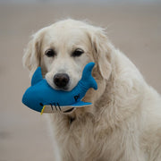 Petface Planet Salina Shark Dog Toy