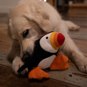 Petface Planet Pana Puffin Dog Toy