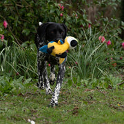 Petface Planet Percy Parrot Dog Toy