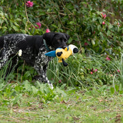 Petface Planet Percy Parrot Dog Toy