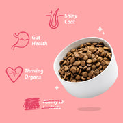 Edgard Cooper Adult Dog Beef & Chicken Dry Food