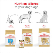 ROYAL CANIN® Labrador Retriever Adult Dry Dog Food