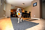 Chuckit! Indoor Play Ball