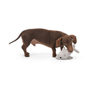 Petface Seriously Strong Rubberoid Shark Plush Dog Toy