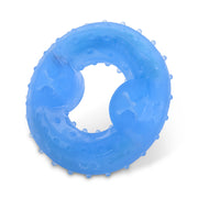 Petface Cooling Freeze Ring Dog Toy