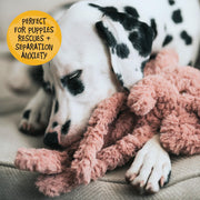 Rosewood My Dog Elephant Plush Dog Toy