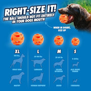 Chuckit! Breath Right Air Fetch Ball