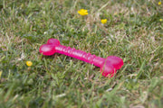 Rosewood BioSafe Germ Smart Puppy Bone 12cm