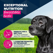 Eukanuba Senior Turkey & Carrots Wet Dog Food