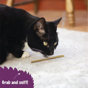 Rosewood Cat Naturals Activity Tree