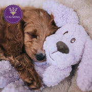 Rosewood Aromadog Calm Fleece Laying Down Dog