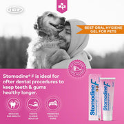 Nextmune Stomodine F Dental Gel for Dogs and Cats