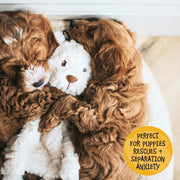 Rosewood My Dog Bear Plush Dog Toy