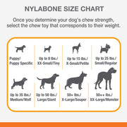 Nylabone Extreme Chew Femur Beef XL