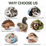 All For Paws Classic Squirrel