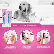 Nextmune Stomodine F Dental Gel for Dogs and Cats